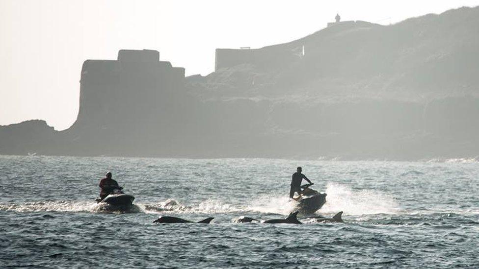 Dolphins and water scooters in the sea