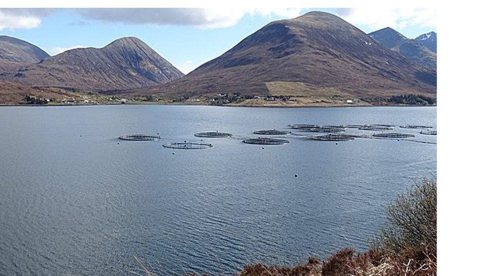 Cèidsichean bhradan