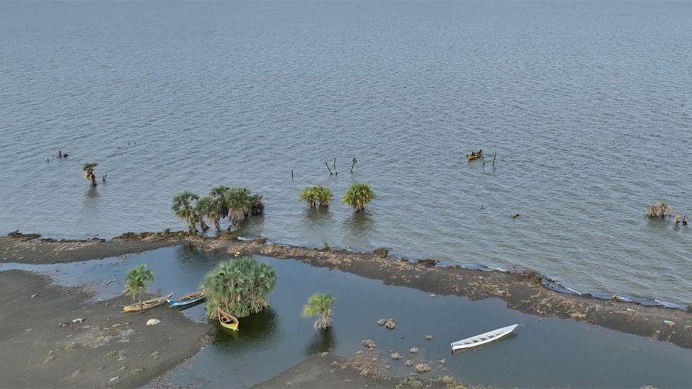 A drone shot of Lake Turkana showing some trees on the shoreline and a few boats