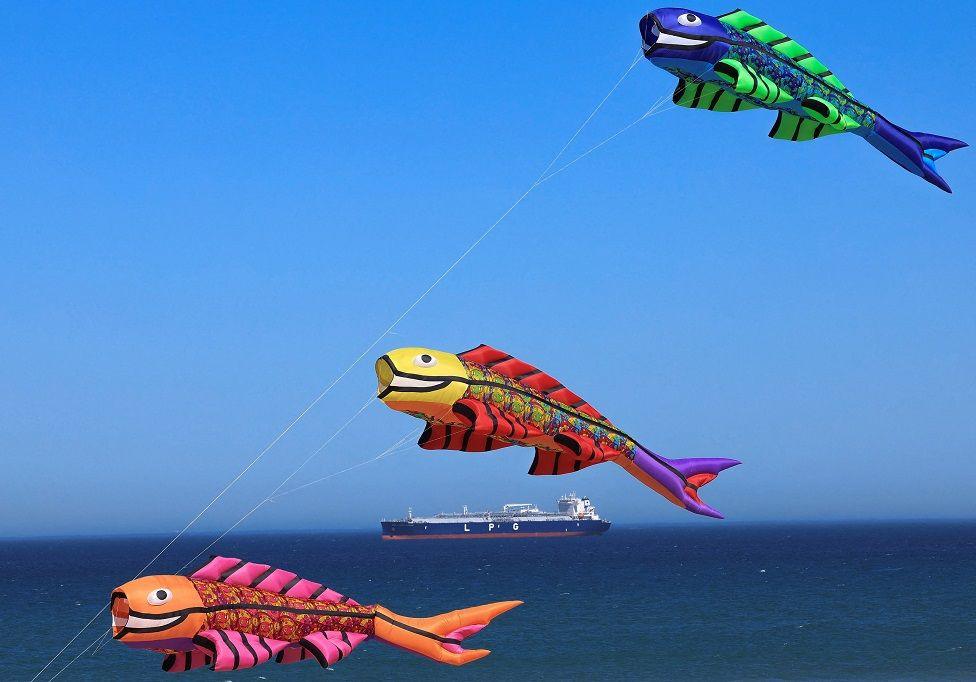 Large, colourful kites shaped like fish fly in the sky at Dolphin Beach. In the distance a large tanker can be seen at sea.