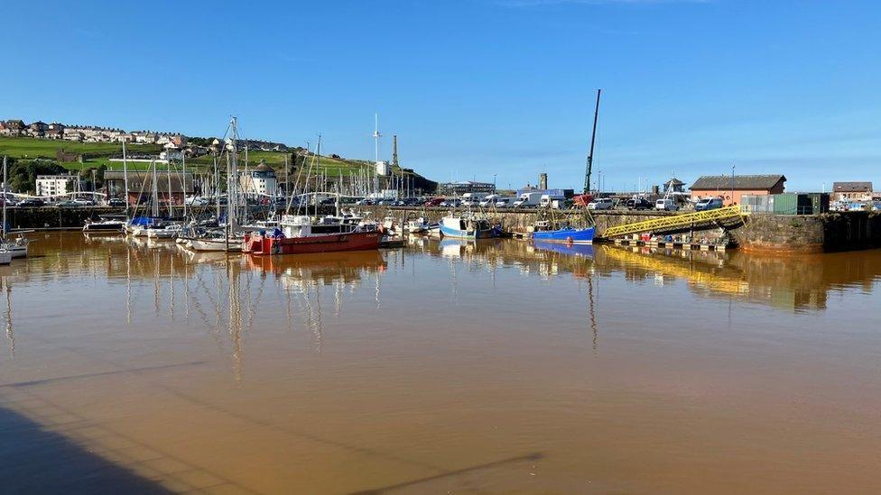 Boats moored up in Whitehaven Marina; the water around them is brown.