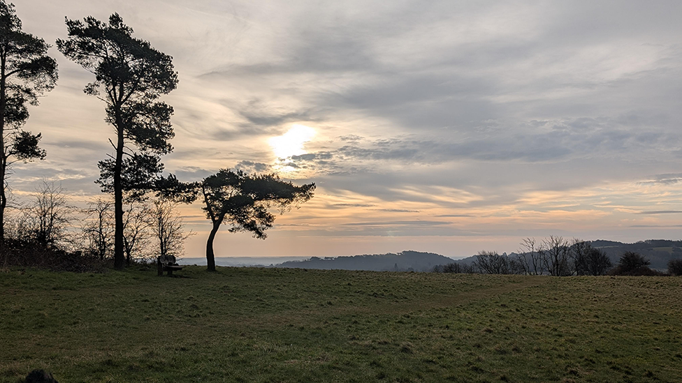 A field with three trees in the distance with the sun behind them and clouds in the sky