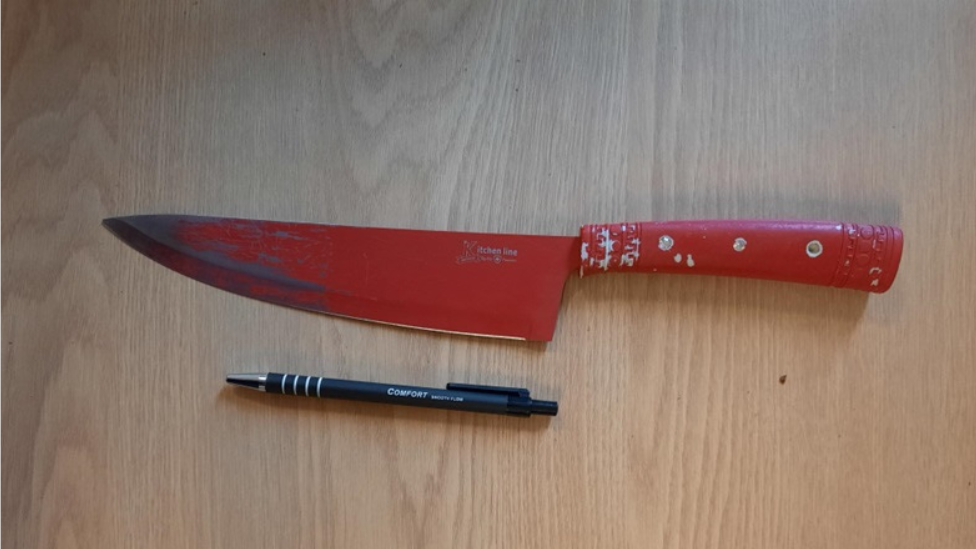 A large red kitchen knife with a red wooden handle and red blade. It lies on a wooden table next to a black ball point pen. The pen is is about 3/4 the size of the blade for measurement.