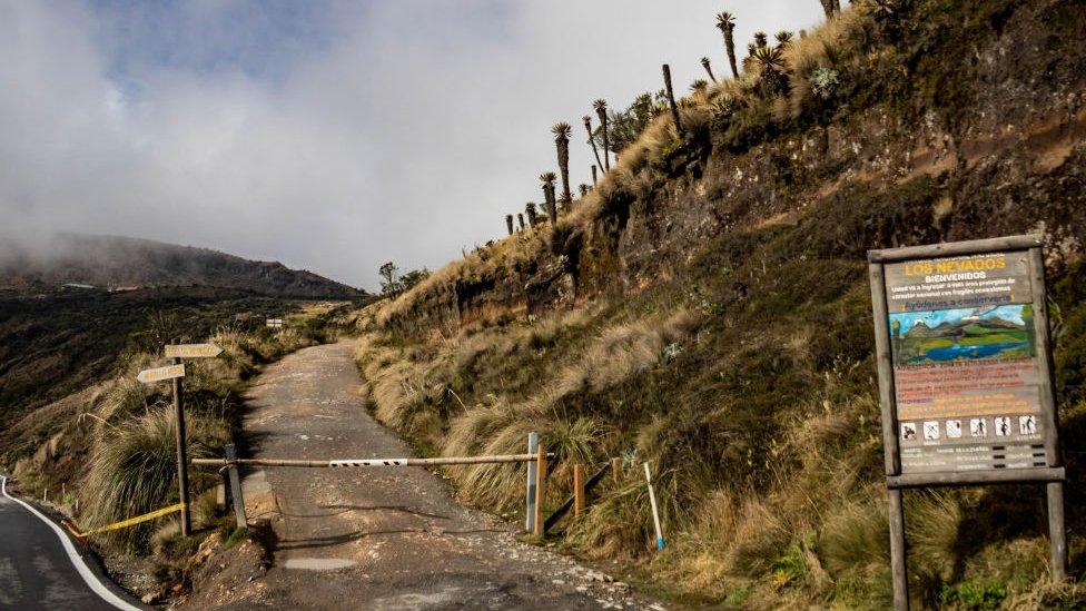 A view of the Los Nevados Natural Park, which was closed to tourists as a preventive measure by the control agencies as smoke rising from Nevado Del Ruiz volcano in Caldas, Colombia on April 01, 2023.