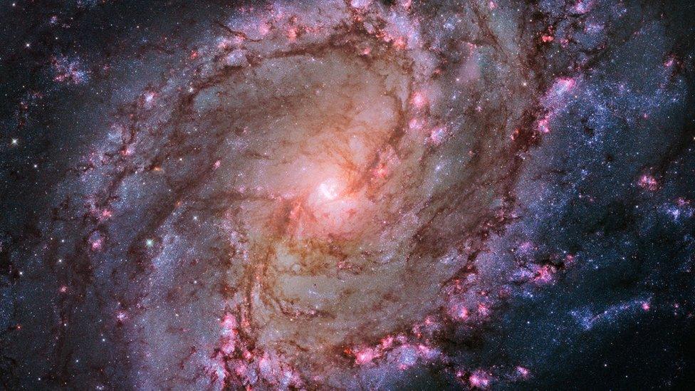 This Image released January 9, 2014 shows the vibrant magentas and blues in this Hubble image of the barred spiral galaxy M83