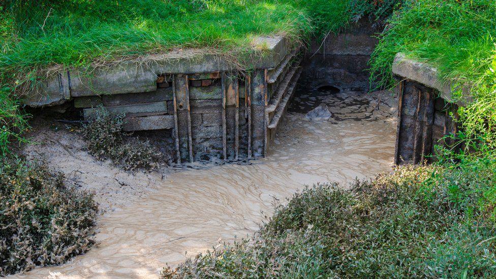 Afon yn y Fflint