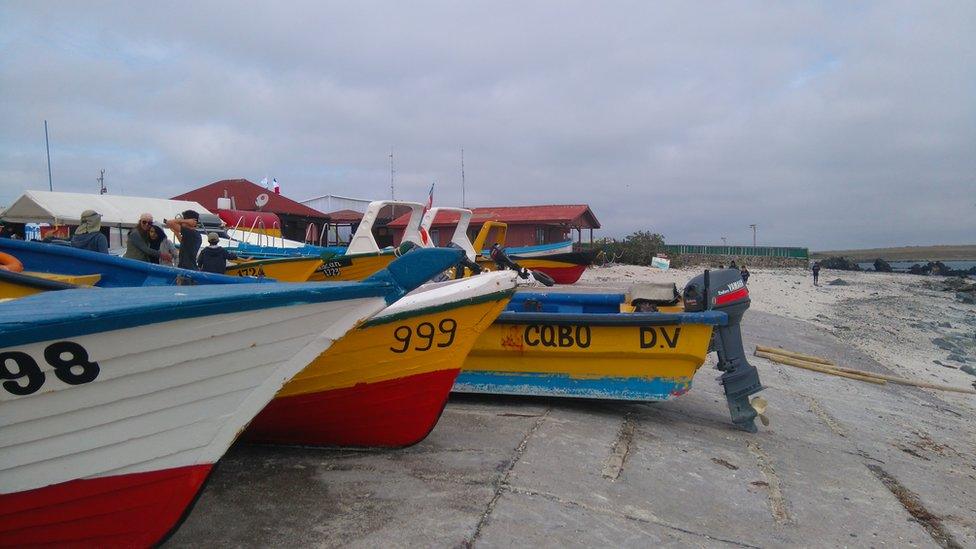 A view of some colourful boats in Punta de Choros