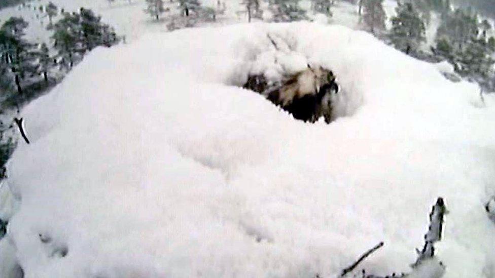 Osprey EJ on snow covered nest