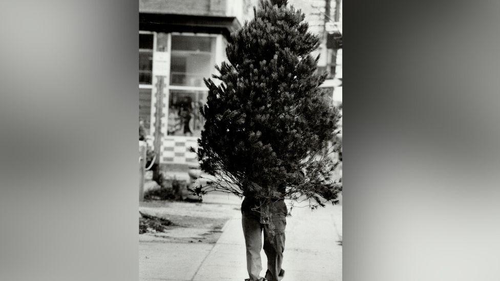 A man walks down the street with a Christmas tree, which obscures the top half of his body.