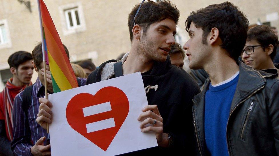 Protesters back same-sex unions in February 2016