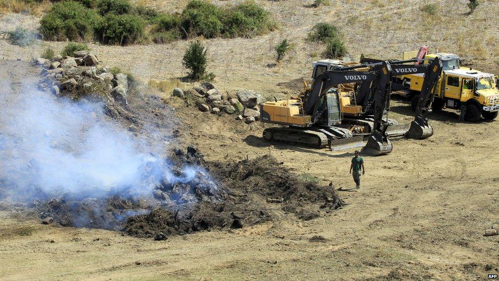 Plant destruction in Propriano, Corsica, 27 Jul 15