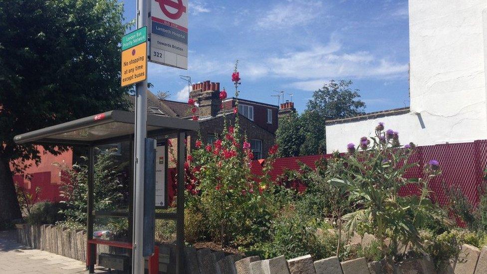 Garden next to a bus stop