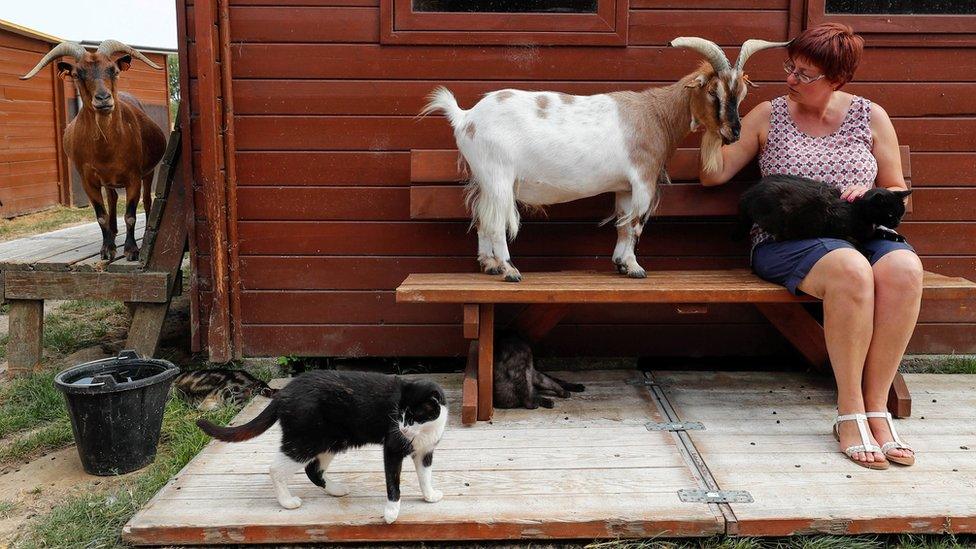 Valerie Luycx with animals