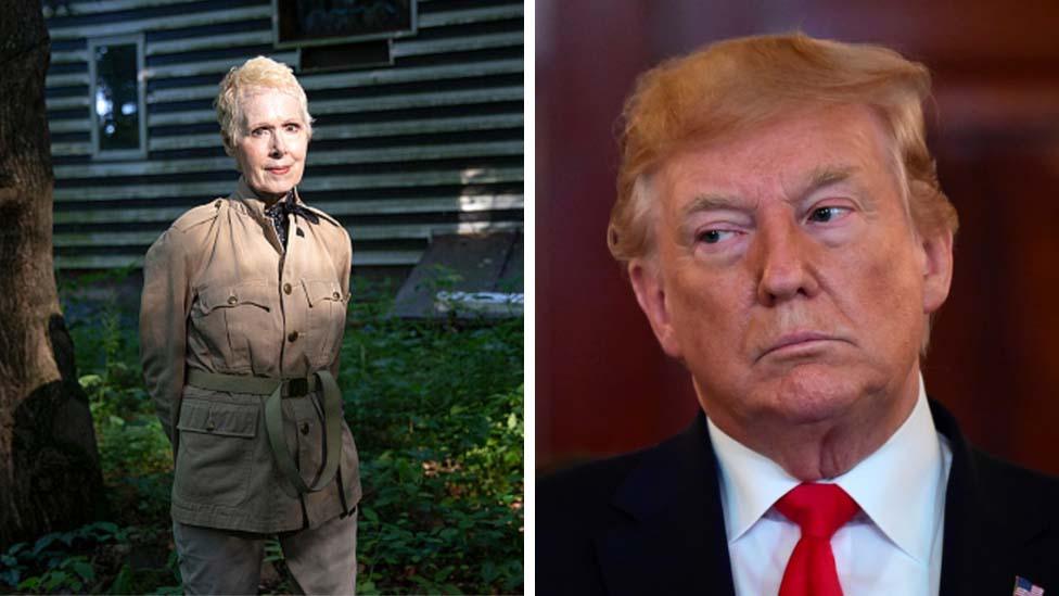 E. Jean Carroll and Donald Trump