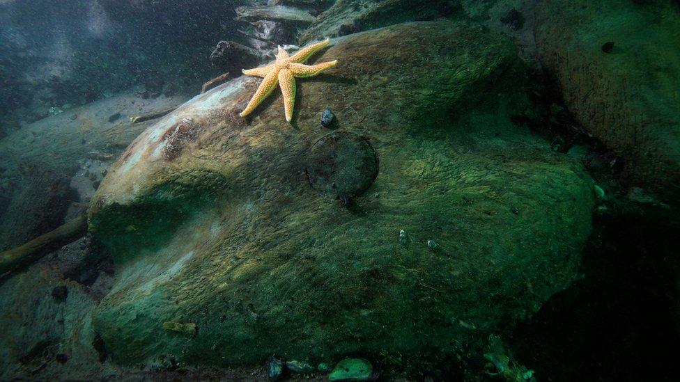 Shipwrecked HMS Invincible