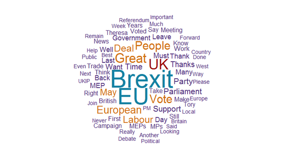 Word cloud showing Brexit was the most tweeted word by UK MEPs