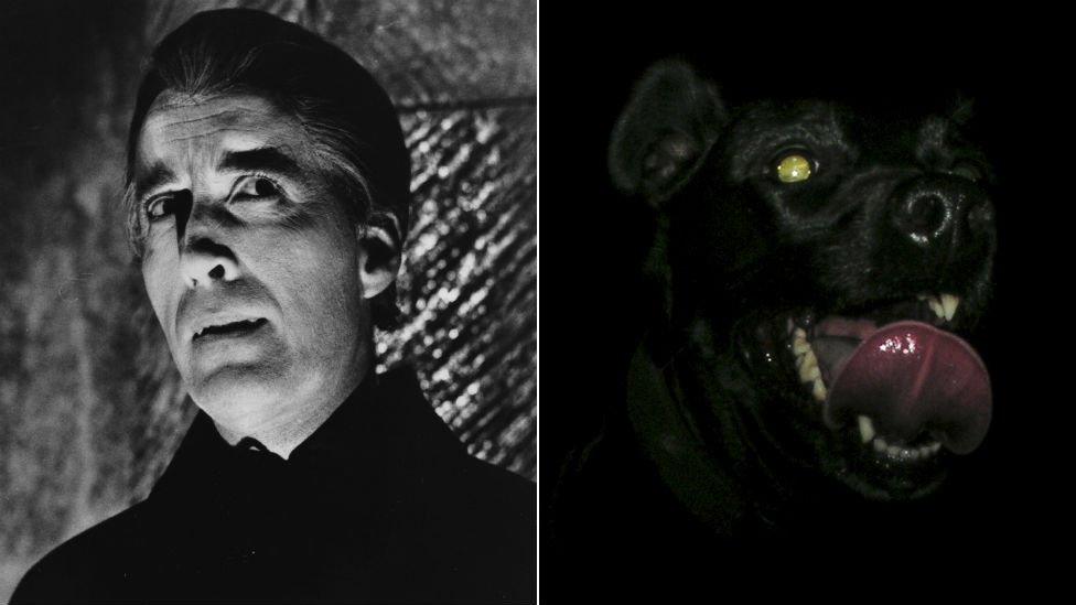 Christopher Lee as Dracula and a black dog