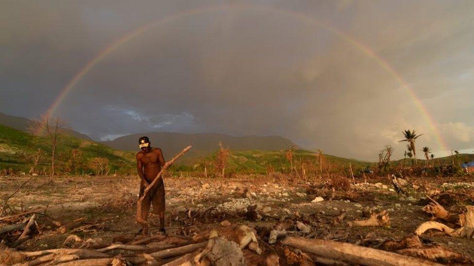 A man cuts wood to prepare charcoal with wood that was left over from damaged trees from Hurricane Matthew in the village of Damassin on November 3, 2016.