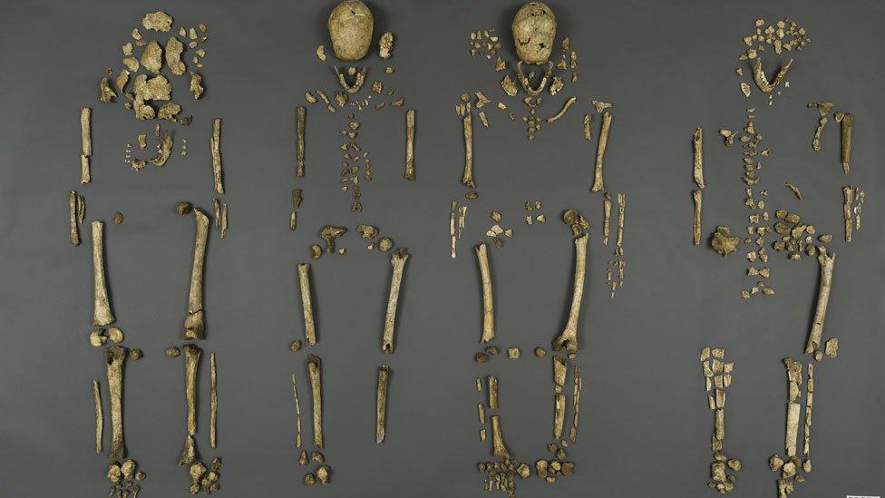 the remains of the Jamestown leaders