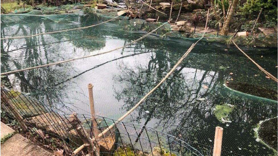 A pond covered in netting