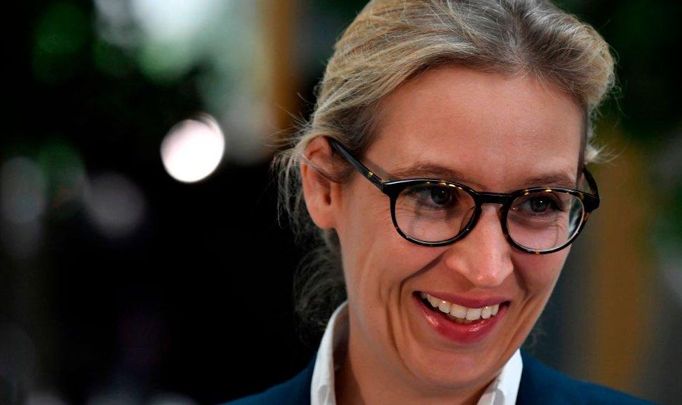 The AfD's Alice Weidel