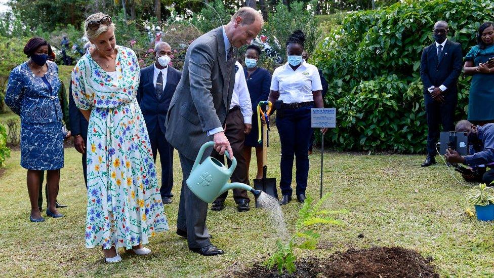 Sophie, Countess of Wessex and Prince Edward, Earl of Wessex plant a tree at The Botanical Gardens