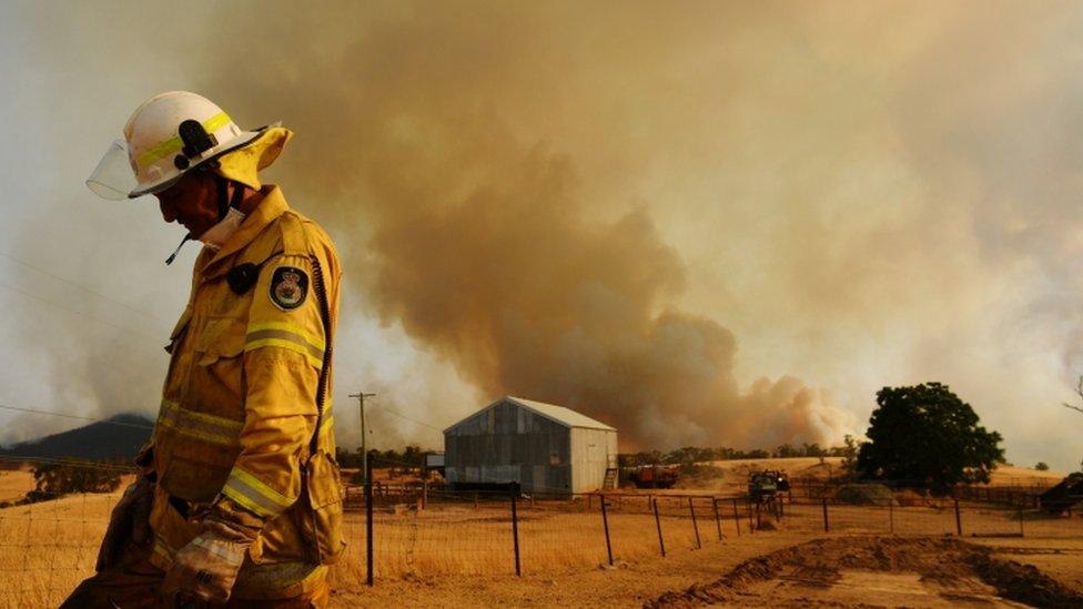 A Rural Fire Service firefighter views a flank of a fire on 11 January, 2020 in Tumburumba, Australia