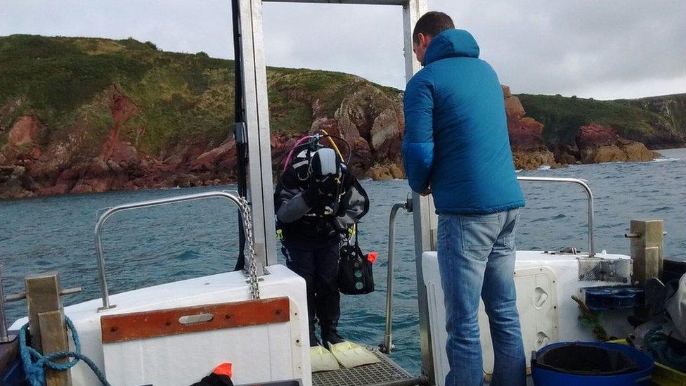 A diver prepares to enter the water