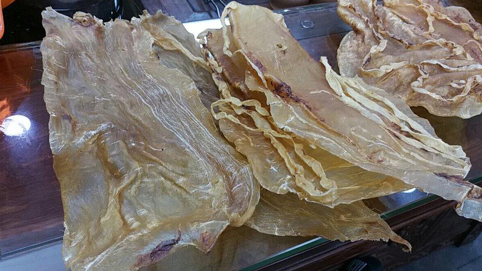 Dried swim bladders of totoaba fish