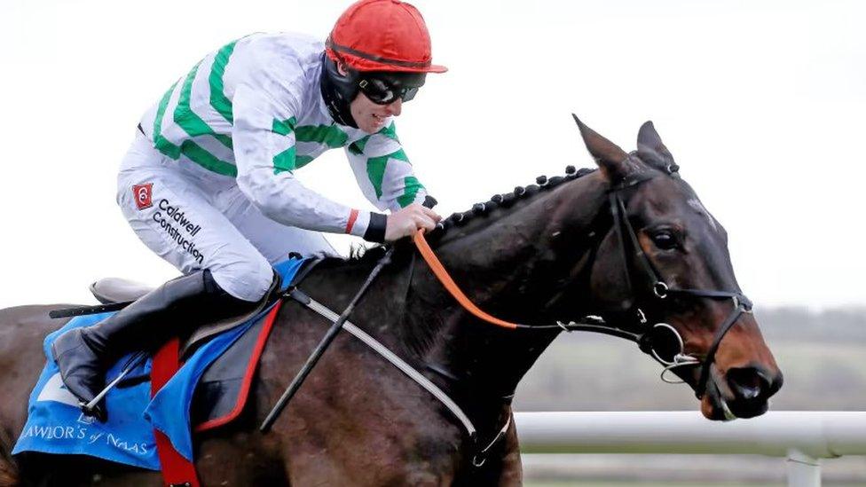 Ginto ridden by Jack Kennedy at Naas racecourse