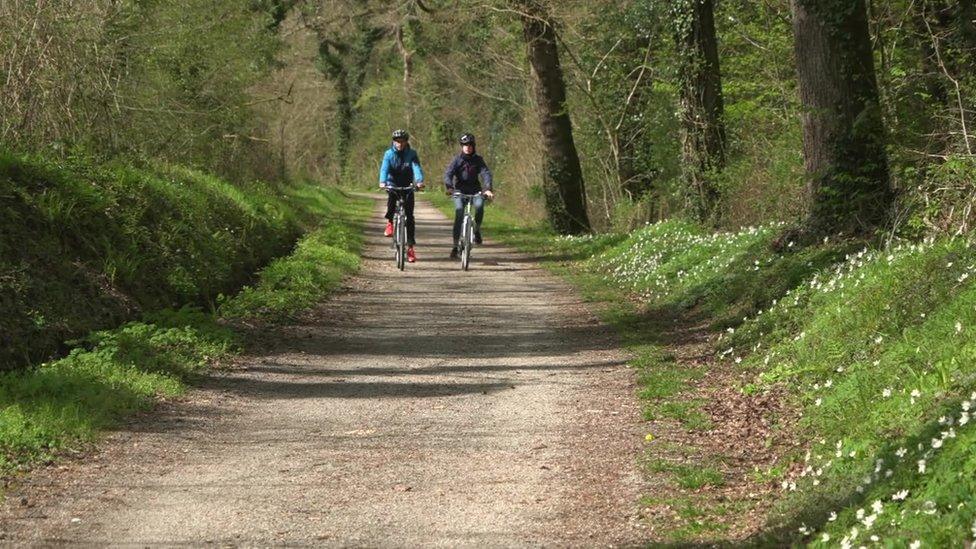 Cycle trail near Bodmin