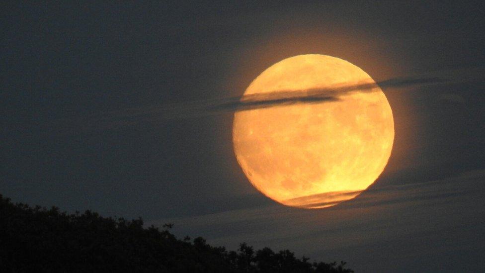 The moon rise over Baiter Park in Poole, Dorset