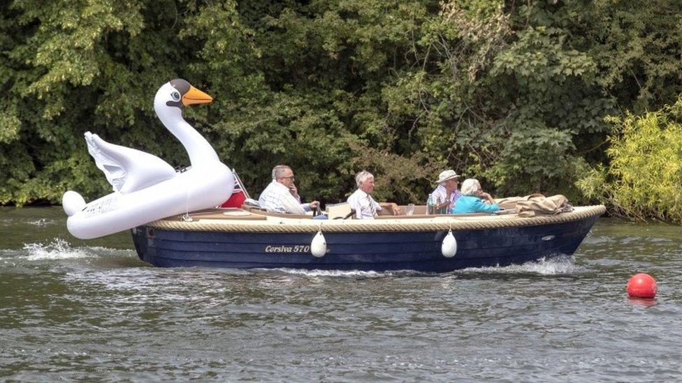 Henley regatta spectators