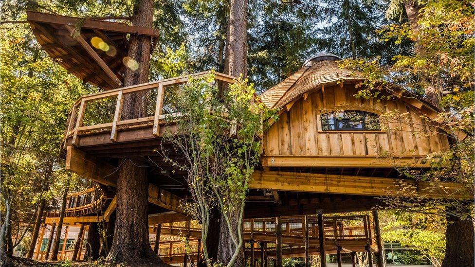 Treehouse