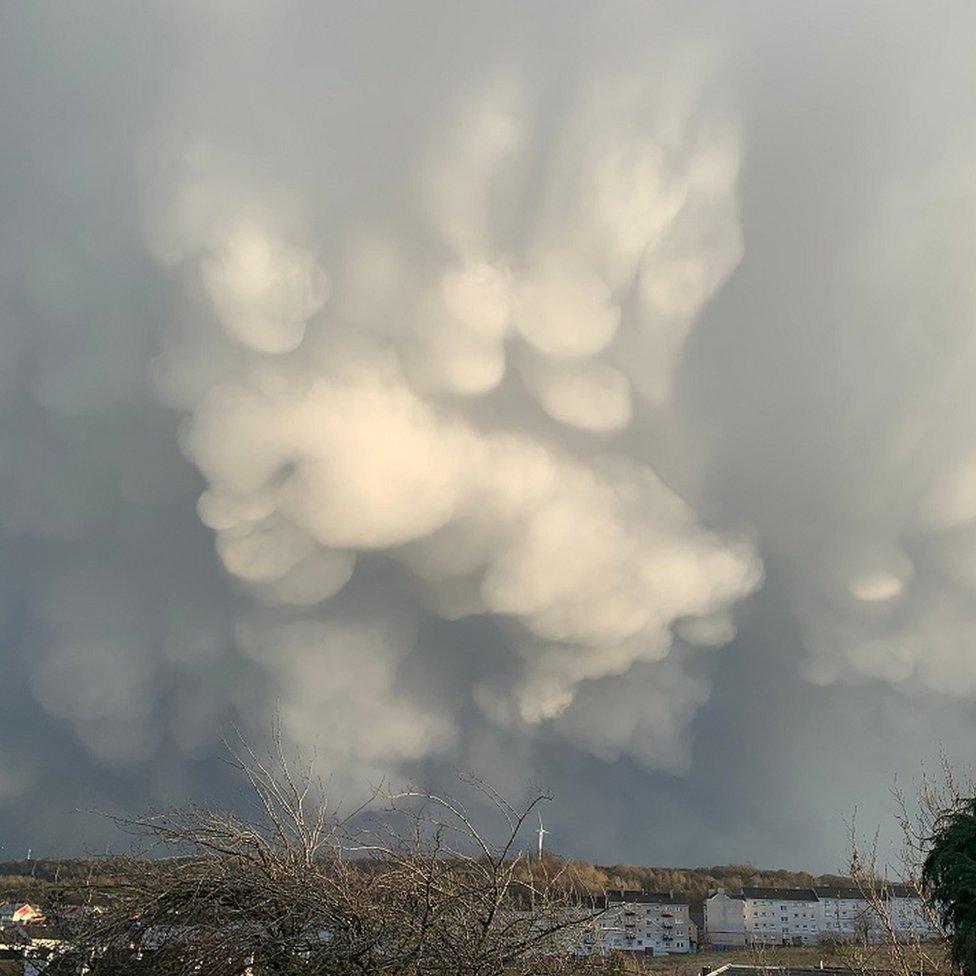 Mammatus clouds