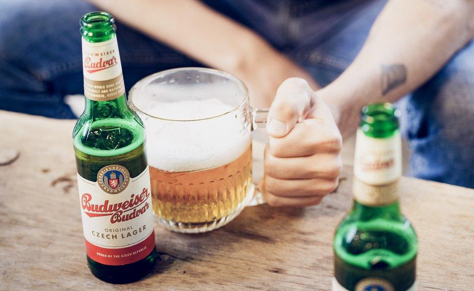 Budweiser Budvar bottles