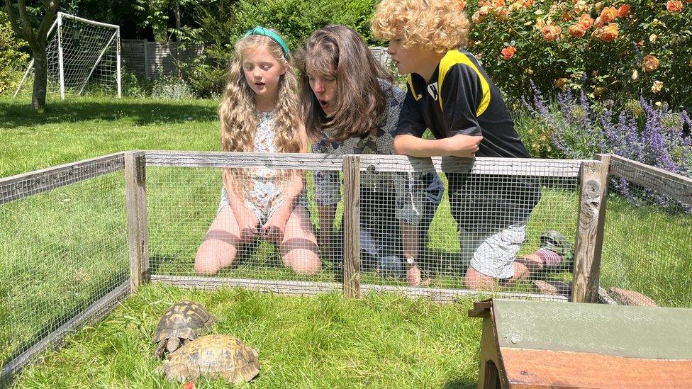 Connie, Lizzie and Charlie with Twin the tortoise