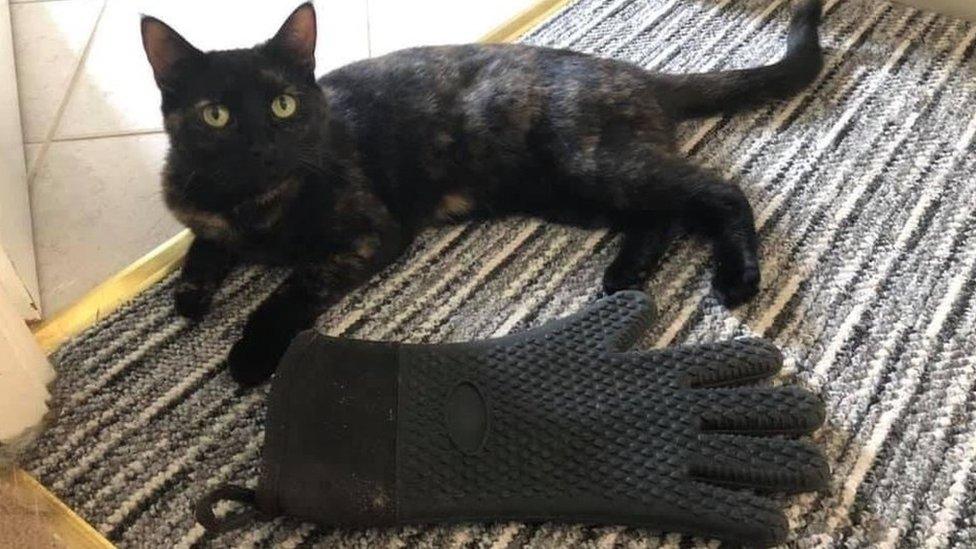 Pixel with one of the gloves she has stolen