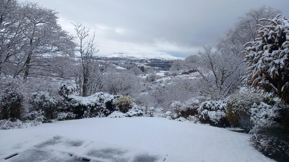 Ffestiniog