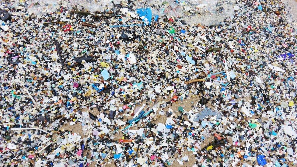 Nurdles on a beach