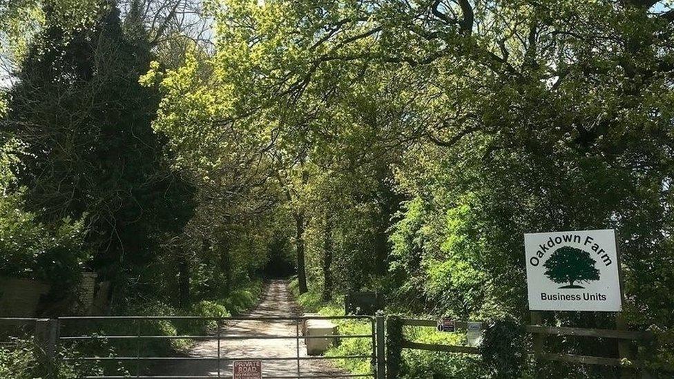 Trees at Oakdown Farm