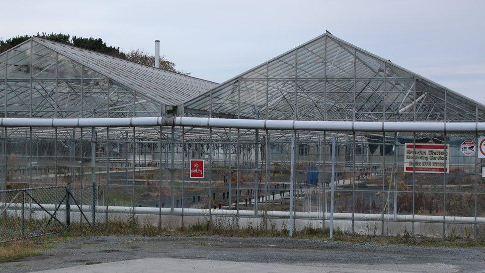 Abandoned greenhouses.