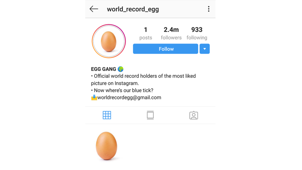 The egg's profile on Instagram