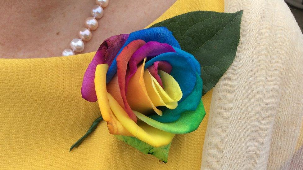 guest's rainbow rose