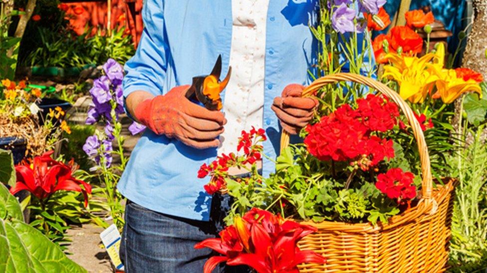 Woman holding basket of flowers