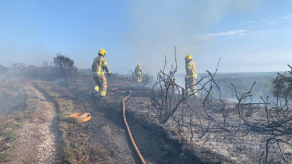 Puddletown Forest fire