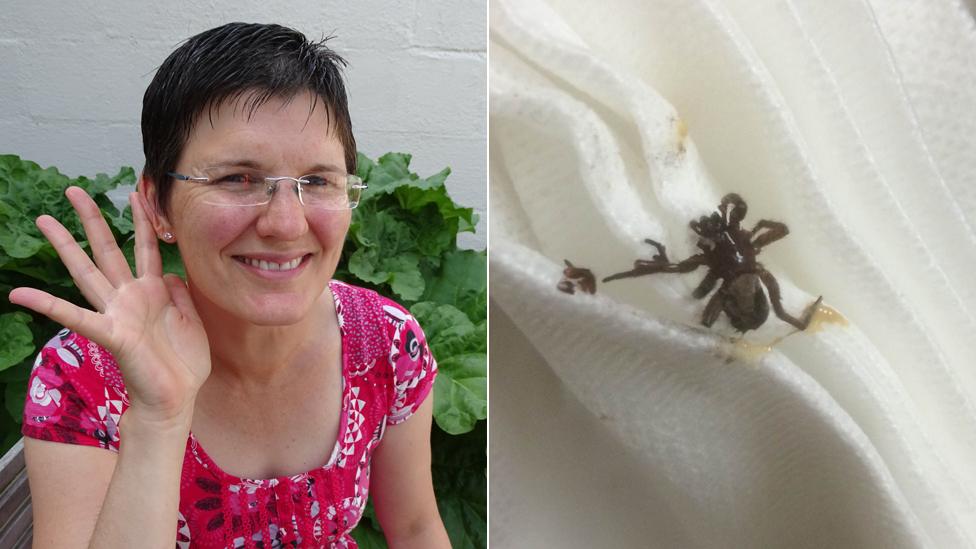 Victoria Price and the spider which was pulled out of her ear