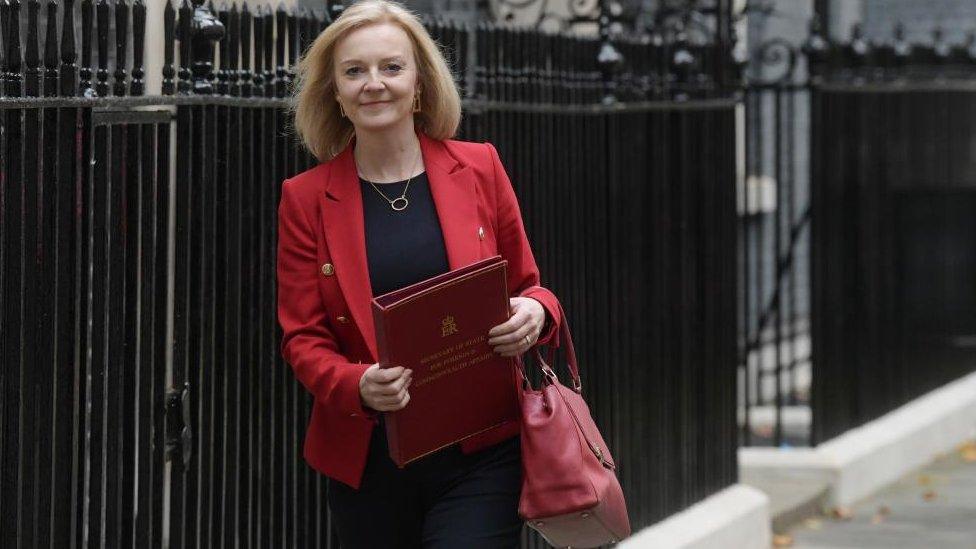 South West Norfolk MP and Foreign Secretary Liz Truss at Downing Street, London