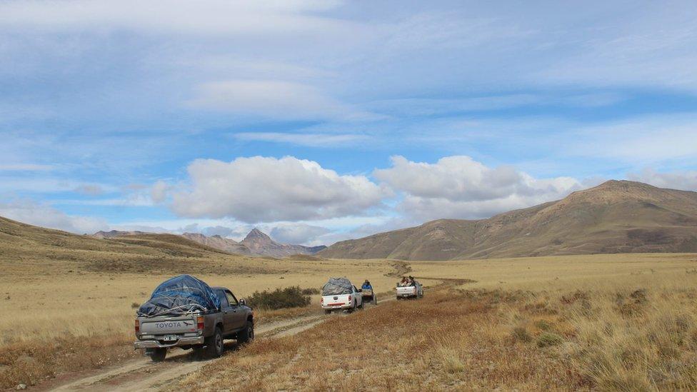 View of the area where the find was made