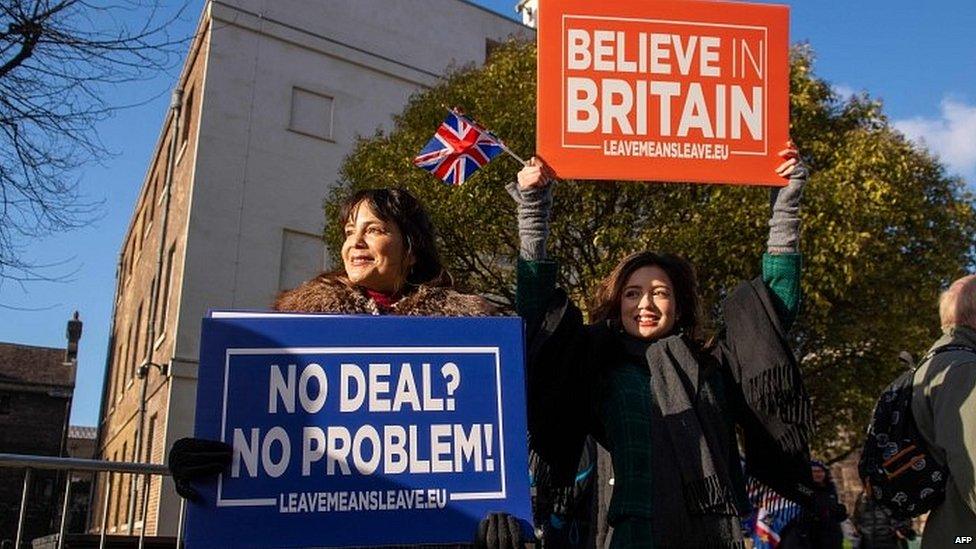 Pro-Brexit protesters